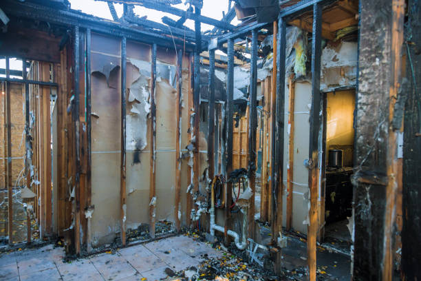 Professional Fire Damage Restoration technician working in Petersburg, MI